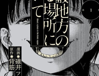 关於近畿地区的某个地方漫画1